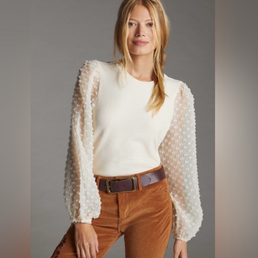 Anthro Maeve sheer sleeve top with Swiss dot polka dot & balloon sleeve detail